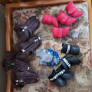 Dog boots xs